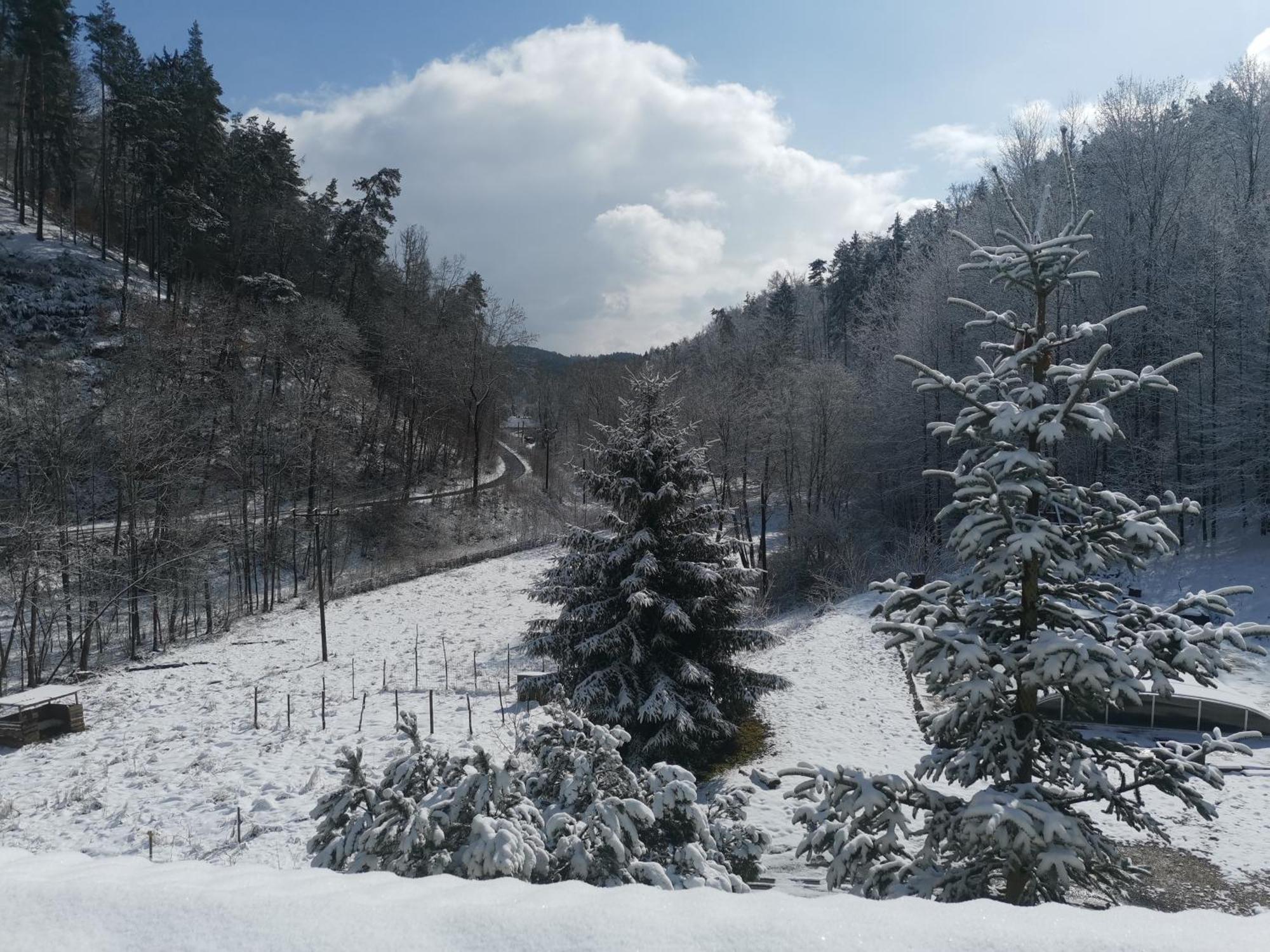 Penzion Myslivna Mukarov Mukarov  Bagian luar foto